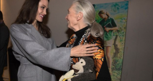British primatologist Jane Goodall poses with U.S. actress Angelina Jolie, in this 2009 publicity photo released to Reuters September 23, 2011.
