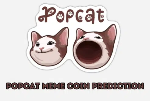 POPCAT meme coin prediction