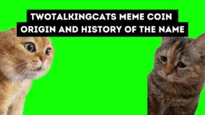 TWOTALKINGCATS meme coin - origin and history of the name