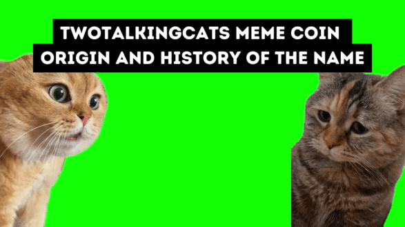 TWOTALKINGCATS meme coin - origin and history of the name
