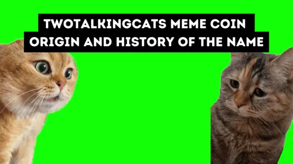 TWOTALKINGCATS meme coin - origin and history of the name