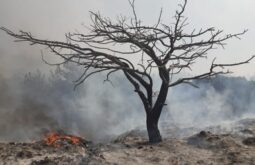 Why are Lebanon's firefighting helicopters grounded?