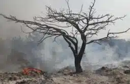 Why are Lebanon's firefighting helicopters grounded?