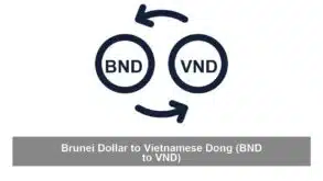 Brunei Dollar to Vietnamese Dong (BND to VND)