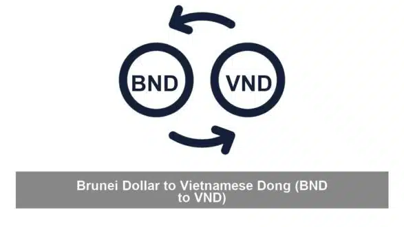 Brunei Dollar to Vietnamese Dong (BND to VND)