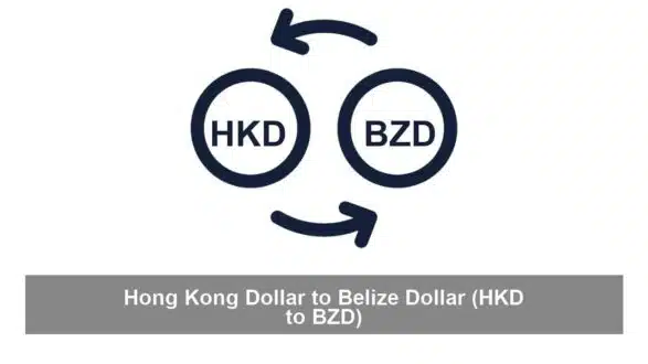Hong Kong Dollar to Belize Dollar (HKD to BZD)